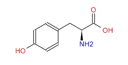 L-Tyrosine,CAS:60-18-4