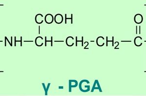 Polyglutamic Acid ,CAS: 25513-46-6