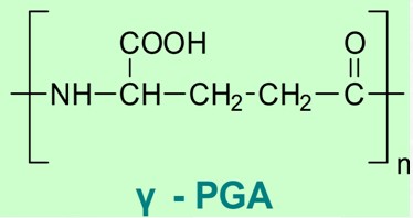 Polyglutamic Acid ,CAS: 25513-46-6