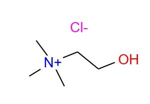 CHOLINE CHLORIDE,CAS:67-48-1