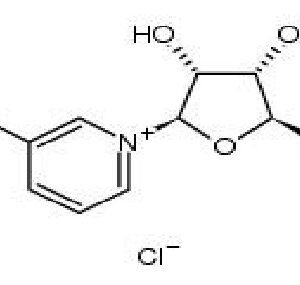 Nicotinamide riboside chloride,CAS:23111-00-4