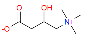L-Carnitine,CAS: 5541-15-1